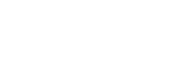 Secret Treasures White Logo